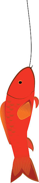 Best Redfish Illustrations, Royalty-Free Vector Graphics & Clip Art ...