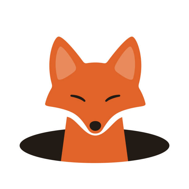 red fox on the cave,watching, vector illustration red fox on the hole,watching  vector illustration hole illustrations stock illustrations