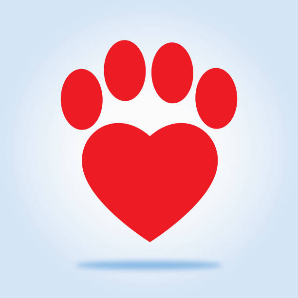 puppy paw prints glyph icon 7981 dryicons