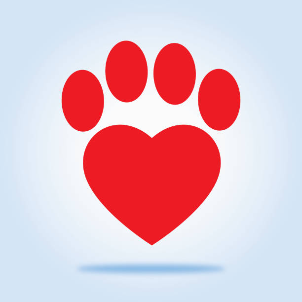 Vector illustration of a red Heart paw with shadow on a gradient blue background.