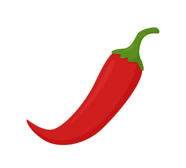 Red hot chili pepper isolaten on white. Vector illustration vegetables. vector art illustration