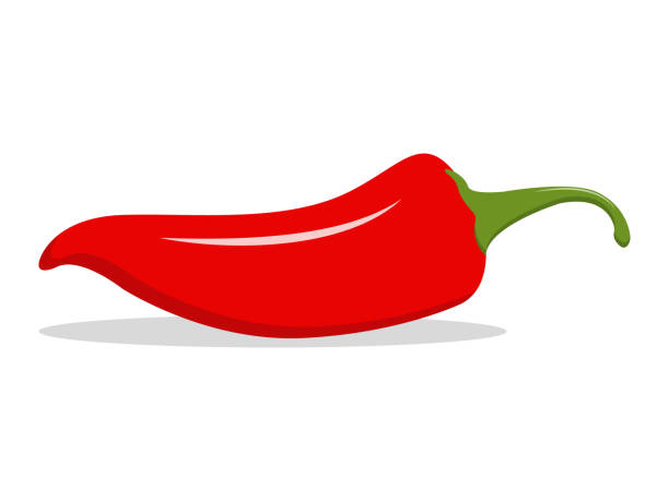 Red hot natural chili pepper illustration. Design for grocery, culinary products, seasoning and spice package, recipe web site decoration, cooking book. Vector Icon EPS 10 chili pepper stock illustrations
