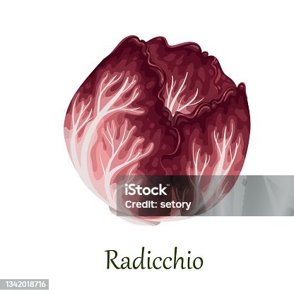 istock Red radicchio salad, Italian chicory 1342018716