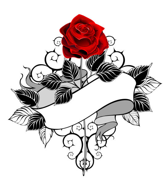 ilustrações de stock, clip art, desenhos animados e ícones de red rose with ribbon - rock rose
