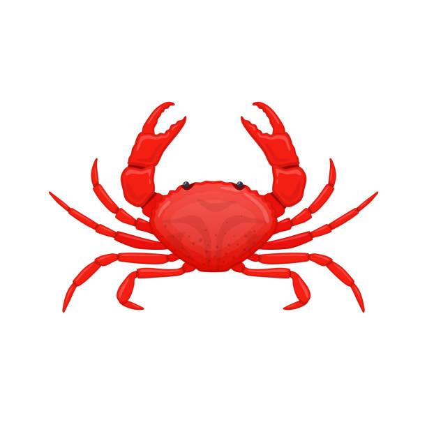 Free Crab Vector Art