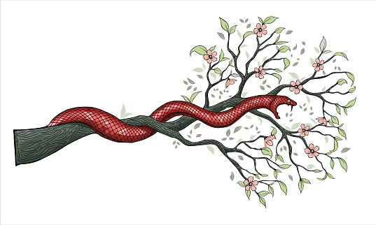 Red snake on a flowering branch