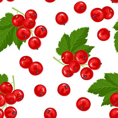 Redcurrant background. Berry fruit seamless pattern. Vector cartoon flat illustration. Branches of fresh berries.