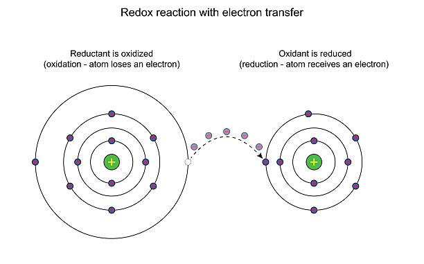 Redox reaction with electron transfer vector art illustration