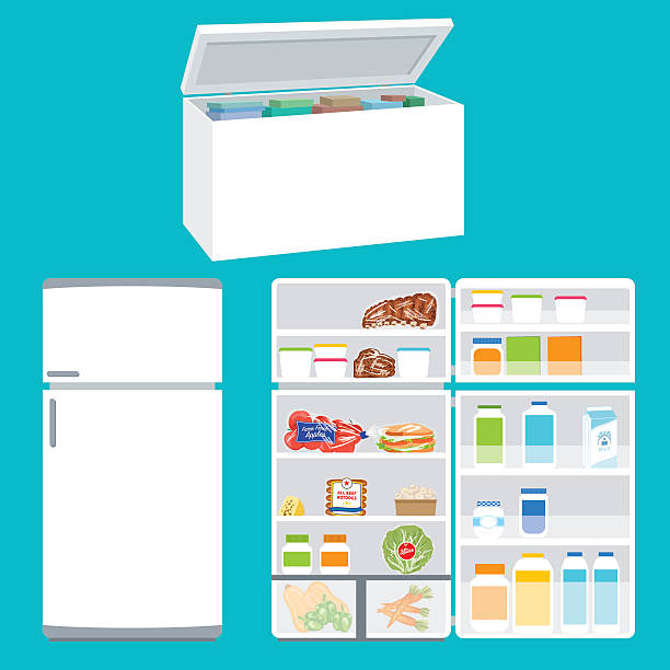 stockillustraties, clipart, cartoons en iconen met refrigerator and freezer filled with foods - bevroren voedsel