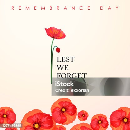 istock Remembrance Day Lest We Forget 1277469865