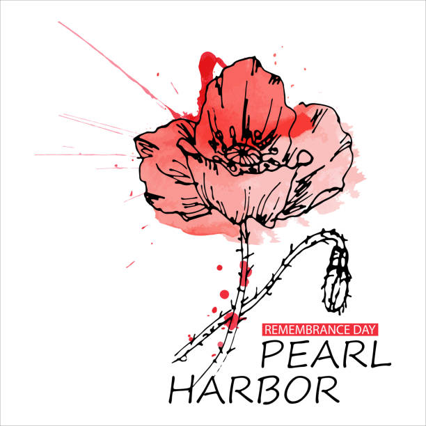 remembrance day pearl harbor. december 7. national day of remembrance in the united states is the anniversary of the attack on pearl harbor. - pearl harbor 幅插畫檔、美工圖案、卡通及圖標
