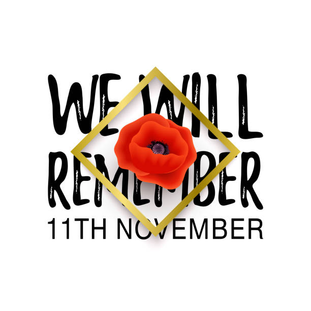 stockillustraties, clipart, cartoons en iconen met remembrance day poppy banner, kaart. we zullen de offerte onthouden. 11 november datum. - zeeland