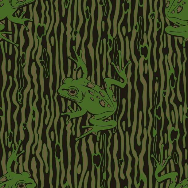 Repeat vector pattern with tree frog on green background. Camouflage animal wallpaper design. Decorative toad texture fashion textile. Seamless vector pattern with tree frog on green background. Camouflage animal wallpaper design. Decorative toad texture fashion textile. tree frog drawing stock illustrations