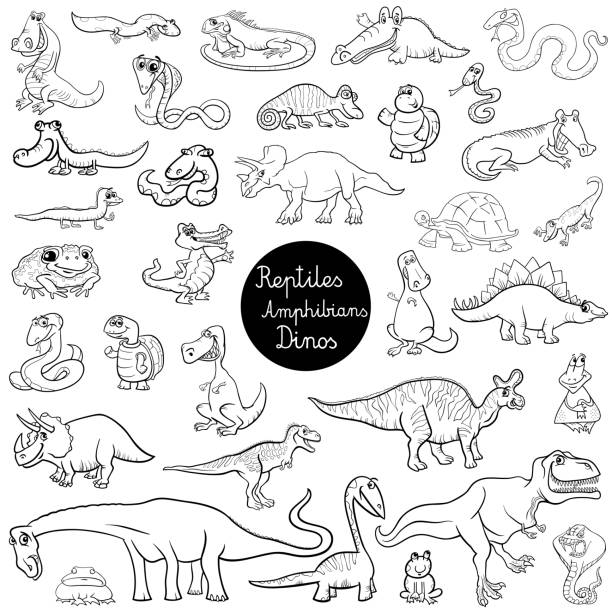 reptiles and amphibians set color book Black and White Cartoon Illustration of Reptiles and Amphibians Animal Characters Big Set Coloring Book frog clipart black and white stock illustrations