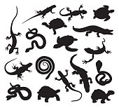 Vector silhouettes of seventeen different reptiles.