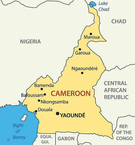 illustrazioni stock, clip art, cartoni animati e icone di tendenza di repubblica del camerun - mappa vettoriale - camerun