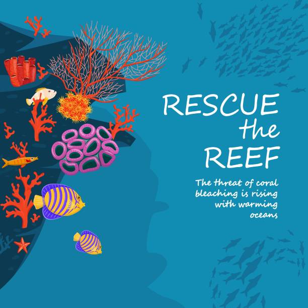 спасение рифа - great barrier reef stock illustrations