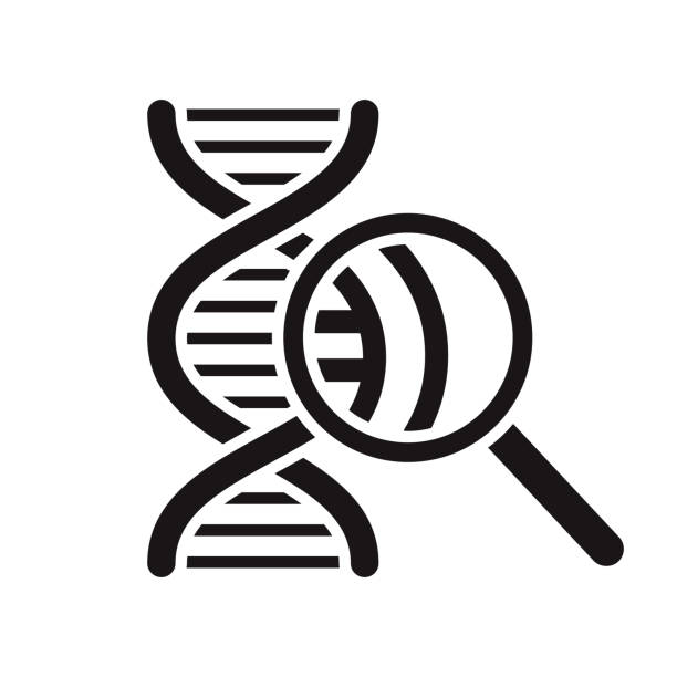 DNA Research Glyph Icon A black glyph icon on a transparent background. You can place onto any coloured background (no white box behind icon). File is built in CMYK for optimal printing with a 100% black fill. dna clipart stock illustrations