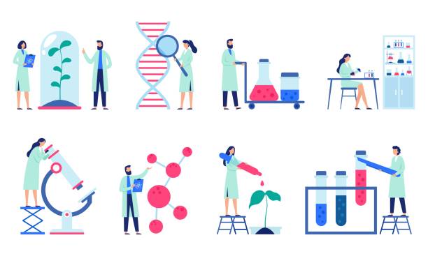Research scientist. Science laboratory, chemistry scientists and clinical lab isolated flat vector illustration set Research scientist. Science laboratory, chemistry scientists and clinical lab. Medical research items, clinical science laboratories experiments. Isolated flat vector illustration icons set biotechnology stock illustrations