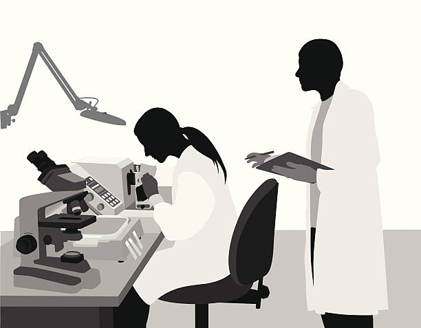 ResearchCenter Researchers studying in the lab laboratory silhouettes stock illustrations