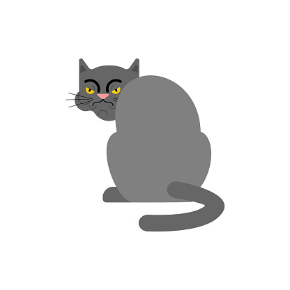 Resentful cat. Pet is offended. bad home animal Vector illustration