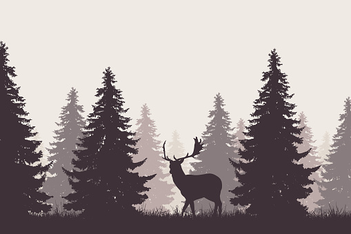 A retro coniferous forest with silhouette of a fallow deer - vector