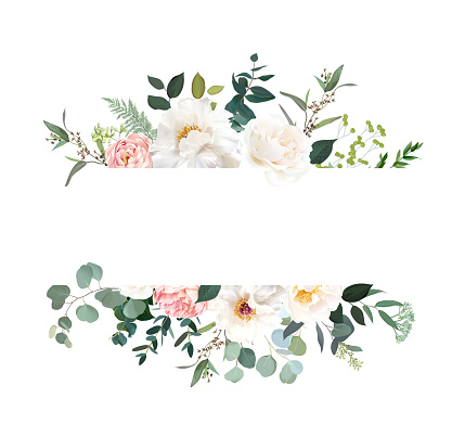 Retro delicate vector design flower horizontal banner. Creamy peony, pink garden rose, white ranunculus, eucalyptus, greenery, sage and blush. Wedding floral garland. Watercolor. Isolated and editable