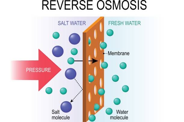 reverse osmosis. reverse osmosis. Desalination. The pressure water molecules seep through the semi-permeable membrane. membrane stock illustrations