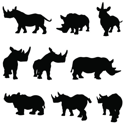 Rhino silhouette collection