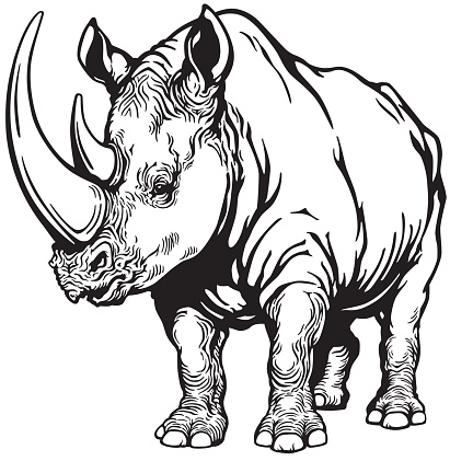 rhinoceros black and white