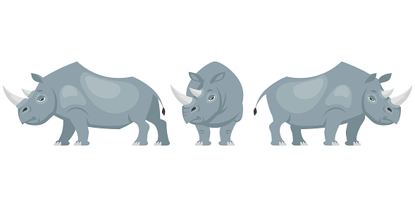 Rhinoceros in different poses.