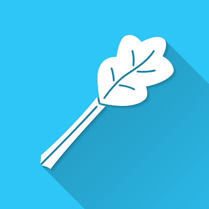 Rhubarb. Icon on blue background - Flat Design with Long Shadow