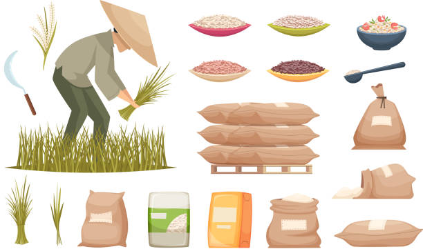 Rice bags. Agricultural products brown and white rice transporting food ingredients vector illustrations Rice bags. Agricultural products brown and white rice transporting food ingredients vector illustrations. Rice in sack bag, healthy harvest agriculture sack stock illustrations