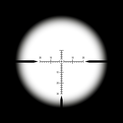 Rifle optical sight