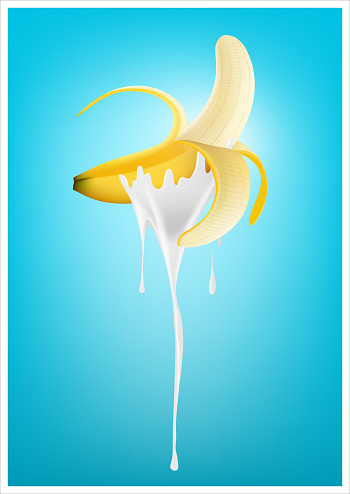 ripe banana dipped in melting yogurt smoothie milk, Vector illustration