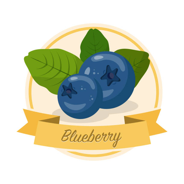 Ripe blueberries with name vector illustration Ripe blueberries with name vector illustration. Organic jam tag. Eco juice circle sticker. Berry flavoured product label, logo. Summer seasonal harvest. Farming, agriculture. Raw fruit cartoon clipart blueberry illustrations stock illustrations