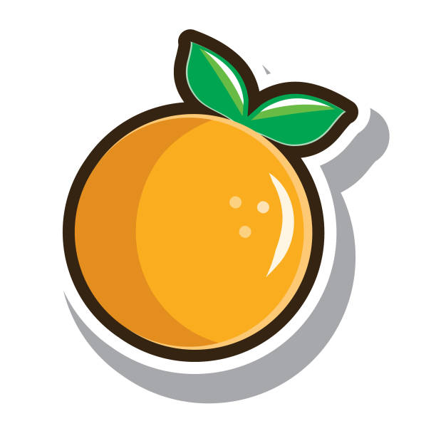 ilustrações, clipart, desenhos animados e ícones de frutas laranja maduras isoladas em branco - orange