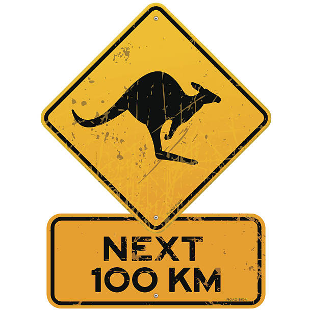 Roadsign Kangaroos Next 100 km Yellow Kangaroo roadsign with next 100 km additional table. EPS version 10 with transparency included in download. kangaroo stock illustrations