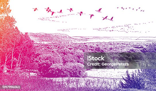 istock Rolling landscape with geese flying in V-Formation 1397996063