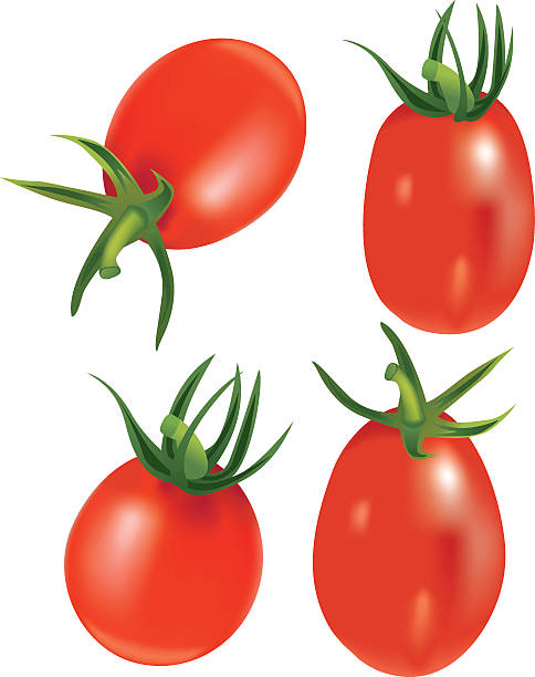 roma tomatoes - roma 幅插畫檔、美工圖案、卡通及圖標