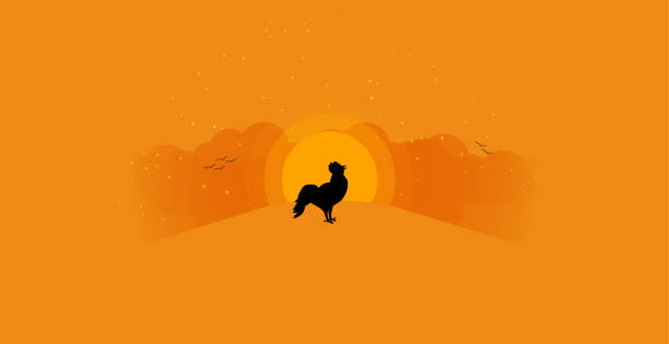 Rooster crowing at sunrise background with copy space. Cottage in an idyllic landscape of rolling clouds with sunrise in the background vector art illustration