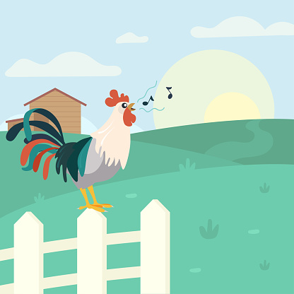 Rooster standing on fence and crowing