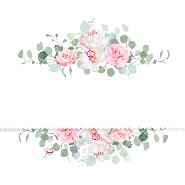 Rose, camellia, orchid, peony, silver dollar eucalyptus vector d Rose, camellia, orchid, peony, silver dollar eucalyptus vector design frame. Cute rustic wedding greenery. Watercolor style collection. Horizontal banner. All elements are isolated and editable flower borders stock illustrations