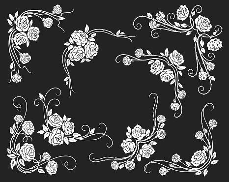 Rose corners and borders, dividers with scrolls, leaves and flower buds. White rose floral vintage vector swirls and flourish ornaments or embellishments for wedding or marriage decoration