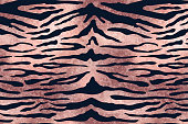 Rose Gold Tiger pattern background. Vector pink golden wild animal skin texture, black stripes on shiny foil background luxury print. Abstract jungle safari wallpapers.