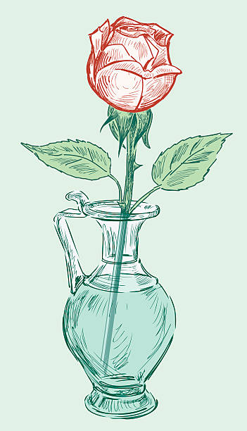 Royalty Free Red Rose Vase Clip Art, Vector Images & Illustrations - iStock