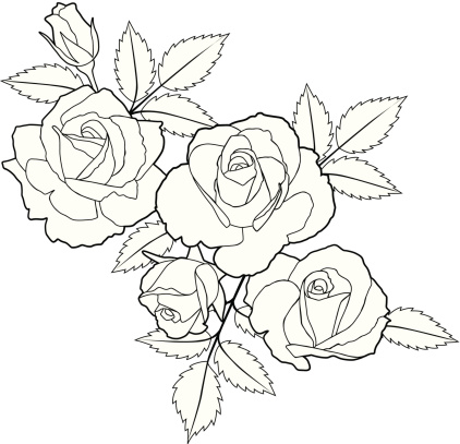 Roses Cluster Stock Illustration - Download Image Now - iStock