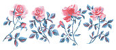 floral set isolated on white. Large pink red roses collection. Single flowers for prints, card, poster, banner, icons.