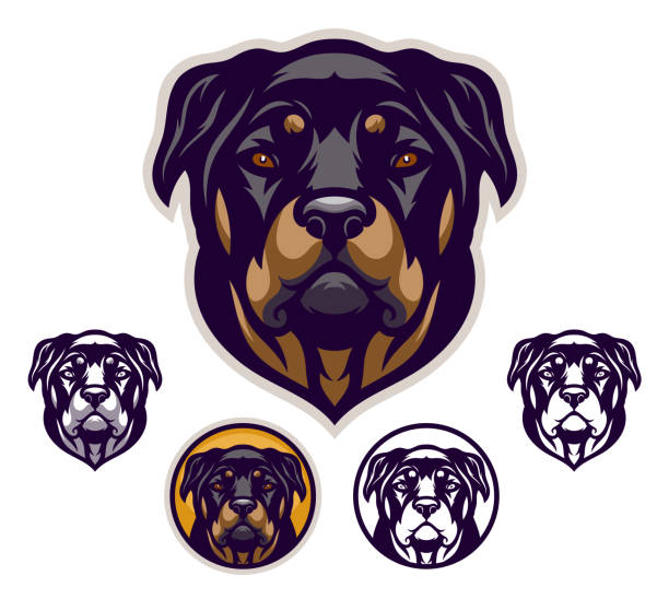Rottweiler head emblem Rottweiler head emblem with four variations. rottweiler stock illustrations