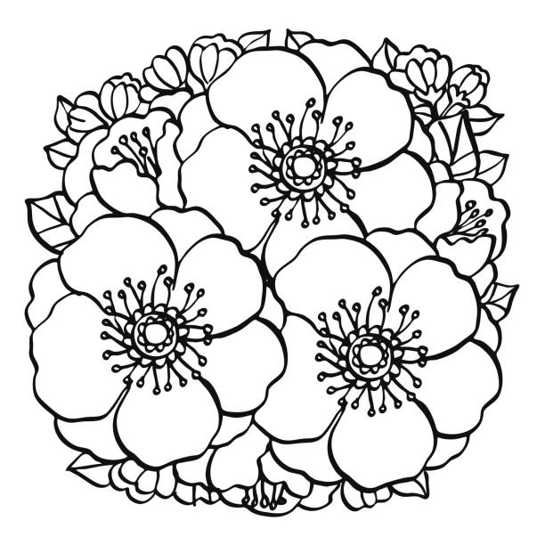 Round flower bouquet hand drawn line art illustration vector art illustration